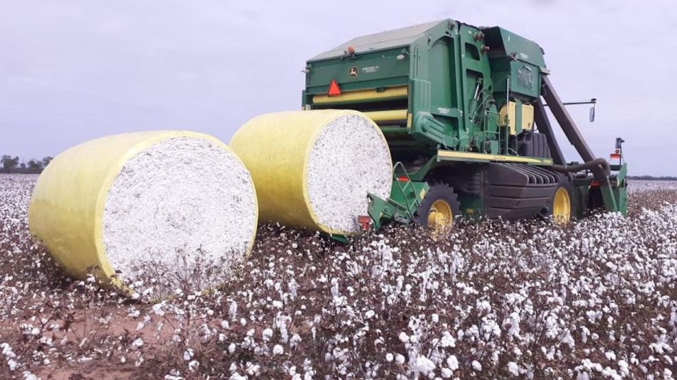 Se implementa un sello de certificación ambiental en una provincia argentina