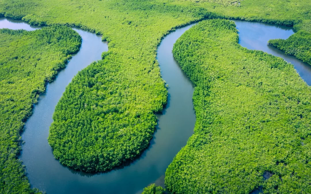La NASA reveló la cantidad de agua que circula cada año por todos los ríos del mundo