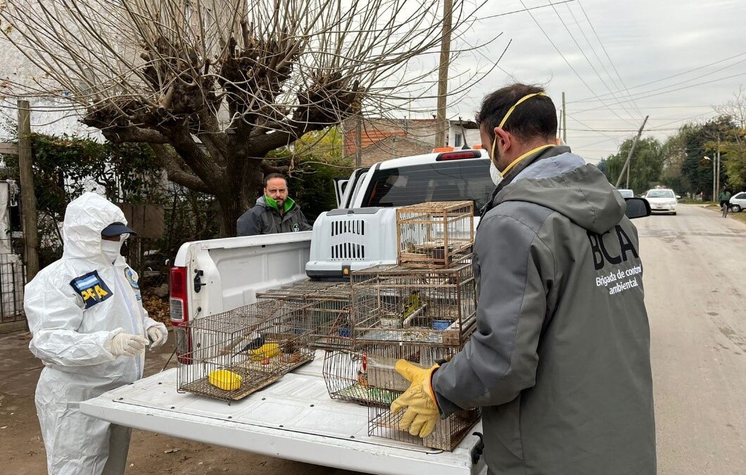 Desarticulan una red de tráfico ilegal que operaba en varias provincias
