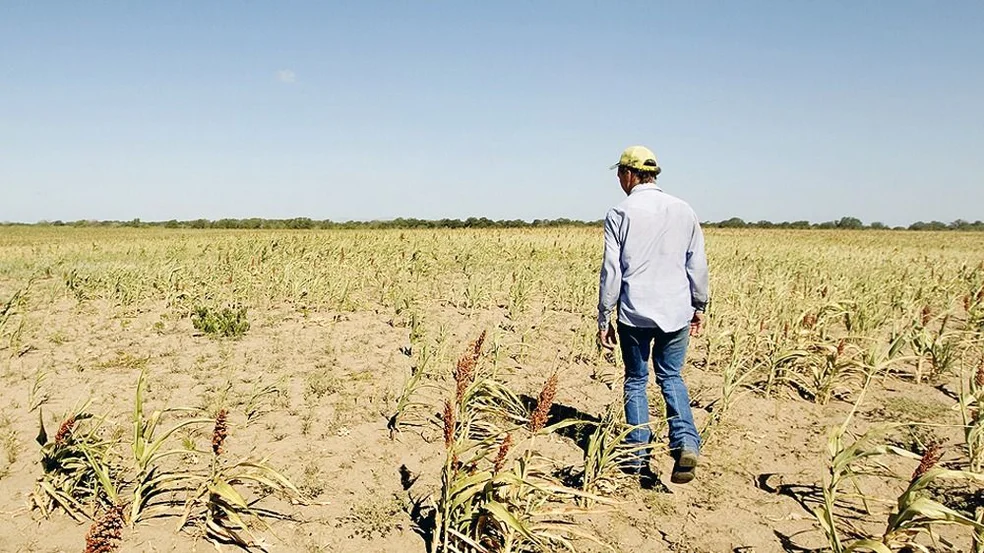 El cambio climático reducirá el PBI mundial en una quinta parte para 2050