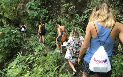 Los turistas contrarrestan los impactos ambientales