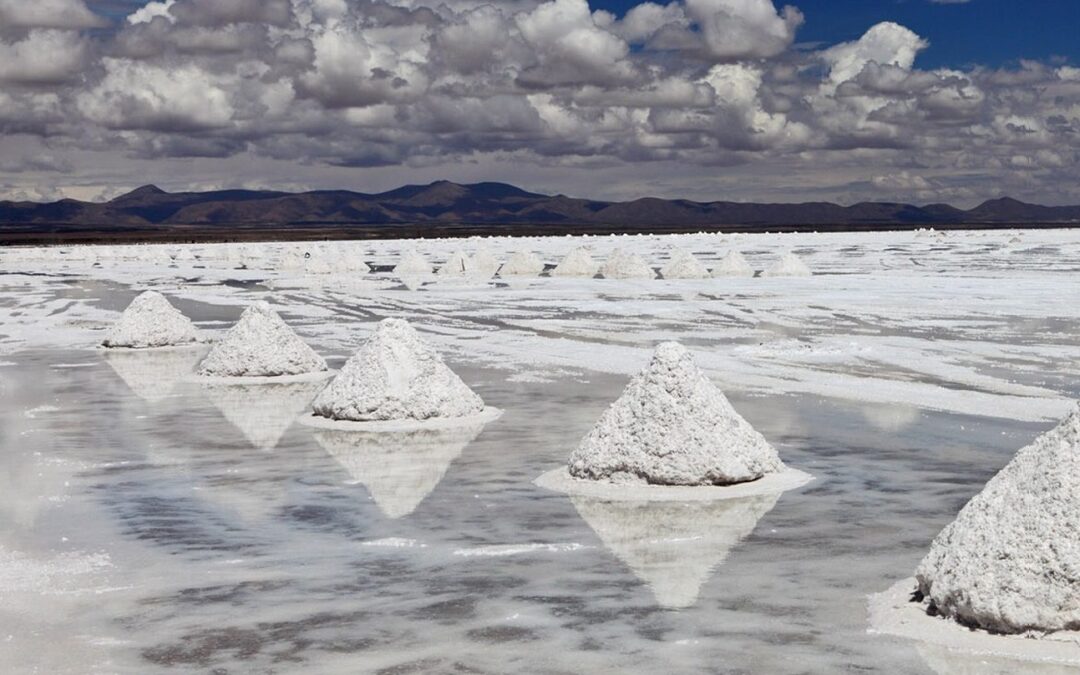 Litio: La gran controversia del oro blanco.