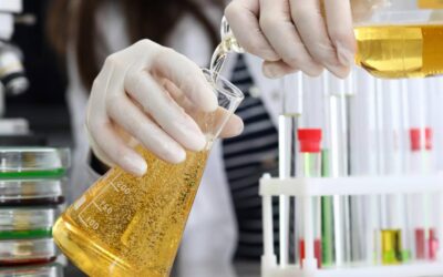 Buscan producir grasas en laboratorio