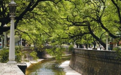 Córdoba promociona nuevos cursos ambientales