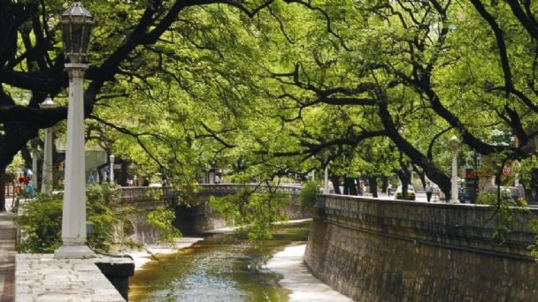 Los cursos serán otorgados por la Universidad Libre del Ambiente de Córdoba.