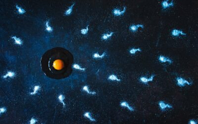 Las olas de calor ponen en riesgo la salud reproductiva masculina