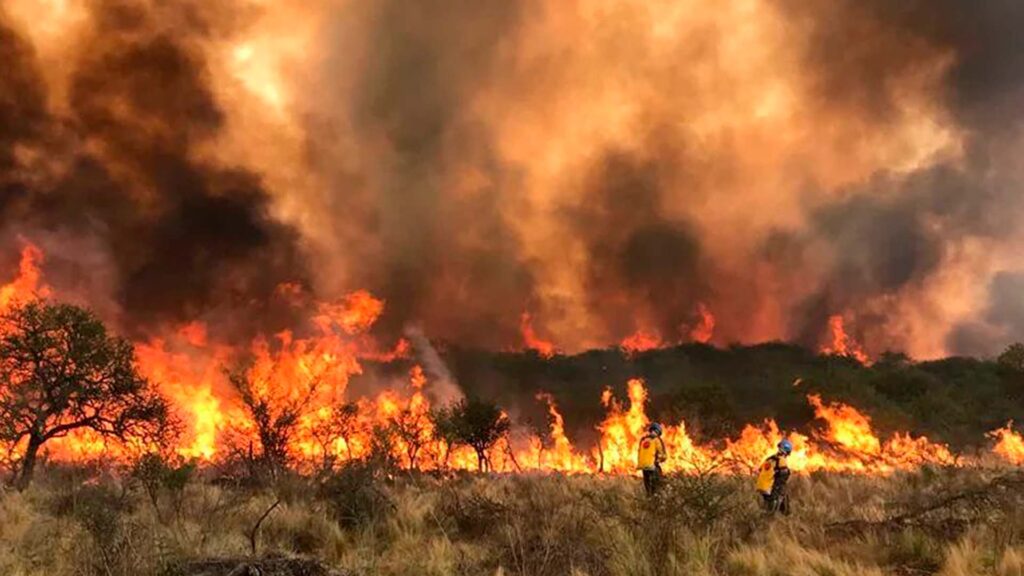 Los incendios forestales en bosques y llanuras son cada vez más frecuentes e intensos.