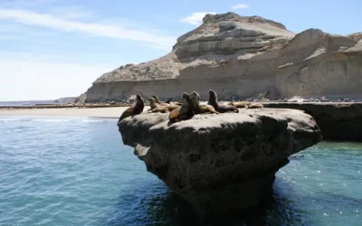 Jóvenes argentinos investigarán reservas de la biosfera gracias a una beca