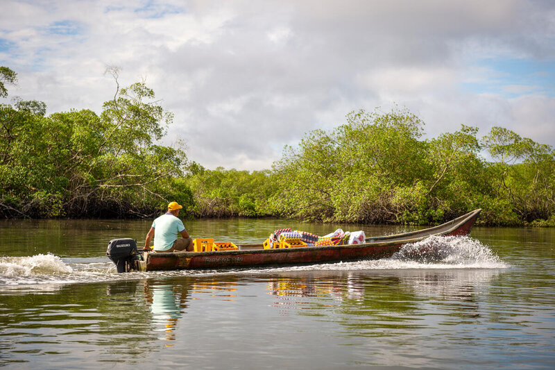 La ONU busca asegurar la protección de manglares en Ecuador