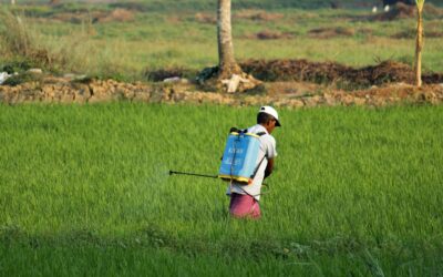 El Estado deberá responder por contaminar y dañar la salud de tres familias