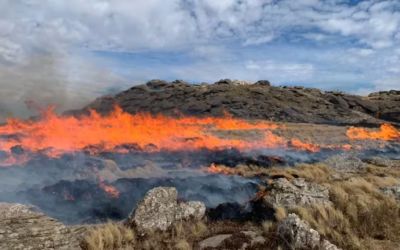 Argentina en alerta por los incendios en Córdoba