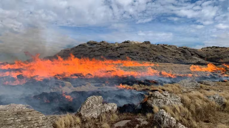 La temporada de incendios se adelantó en Córdoba y ya arrasó 3.500 hectáreas.