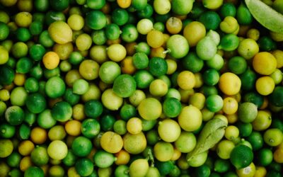 Buscan soluciones para uno de los mayores problemas del agro