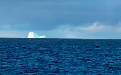 Continúan monitoreando el iceberg de Ushuaia