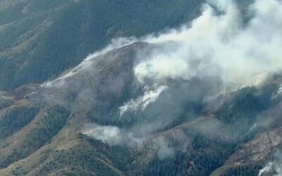 La salud cerebral se ve afectada por el humo de los incendios forestales