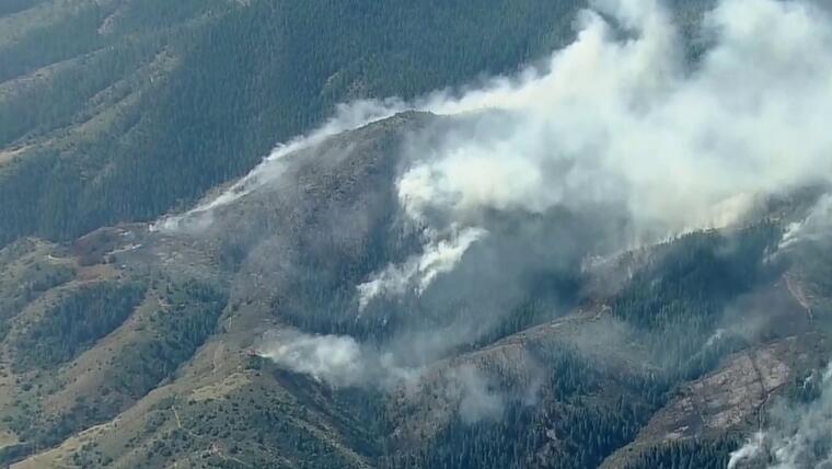 Cómo impacta el humo de los incendios forestales en el cerebro.