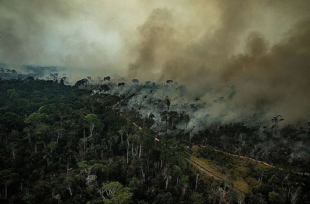 Los incendios en Brasil han aumentado considerablemente pese los esfuerzos del Gobierno.