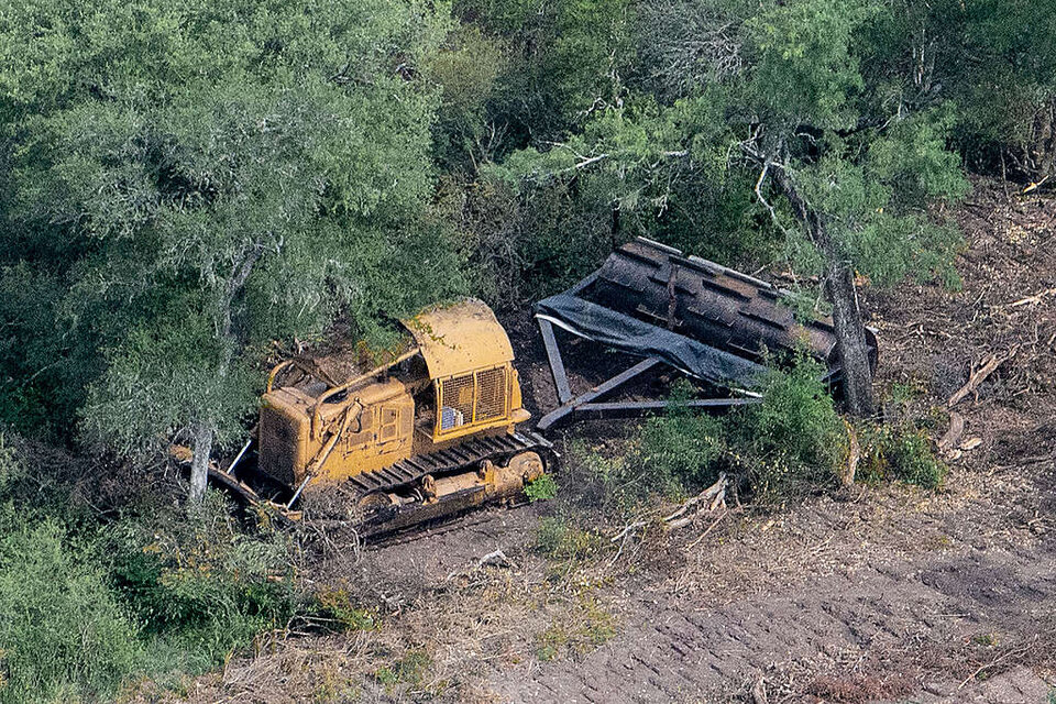 El Chaco argentino perdió más de 50 000 hectáreas de bosque en el primer semestre.