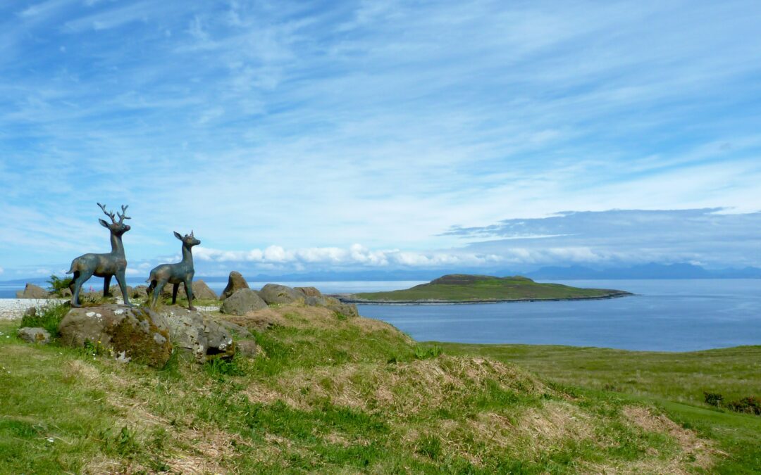 Por la crisis de biodiversidad, Escocia recurre a cazadores