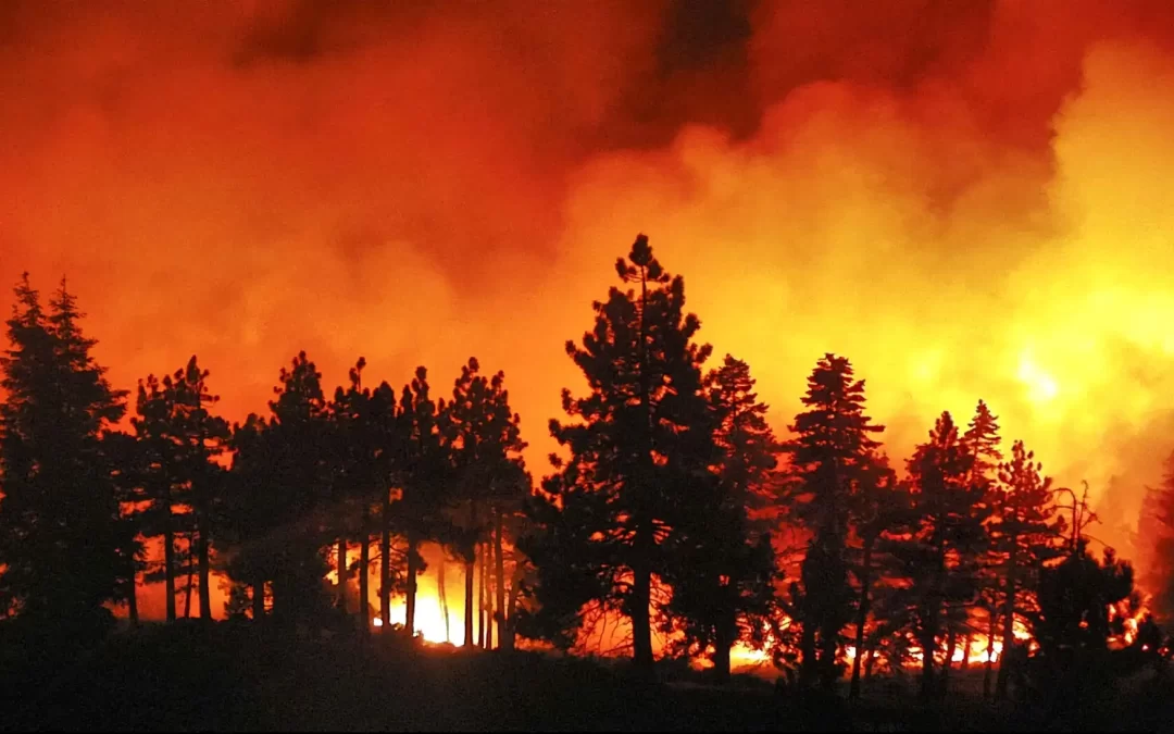 Chile: ascienden a 112 los muertos por los incendios forestales.