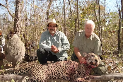 Los implicados habrían participado en redes de tráfico de trofeos de caza animales salvajes.