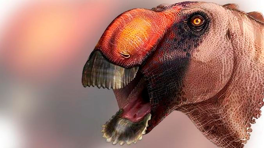 Hallan un nuevo y peculiar dinosaurio con pico de pato en México