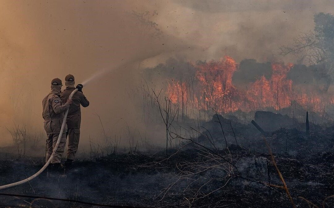 Incendios forestales en Brasil provocan mayor nivel de emisiones de carbono en dos décadas.