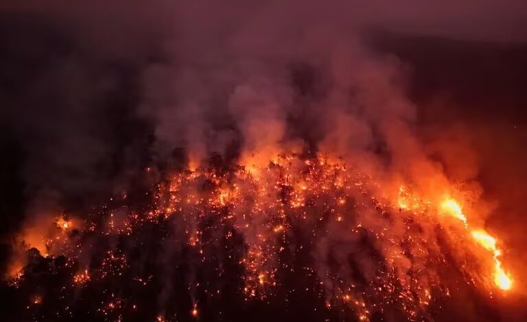 Suramérica bajo fuego: alerta en varios países por récord de incendios