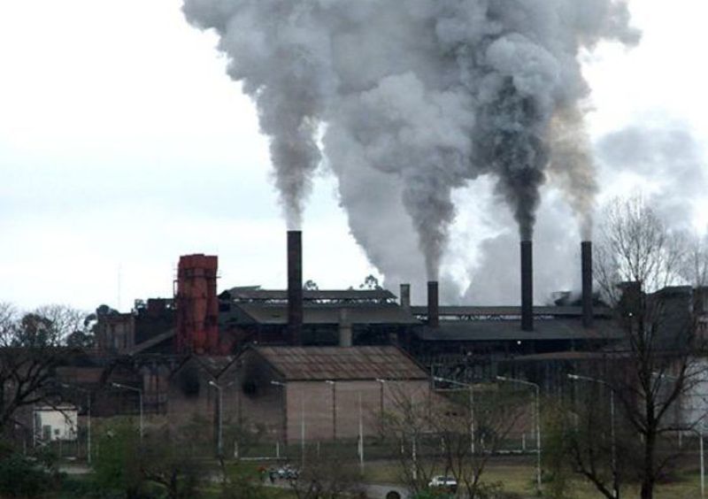 Condenan a directivos de una azucarera por contaminación