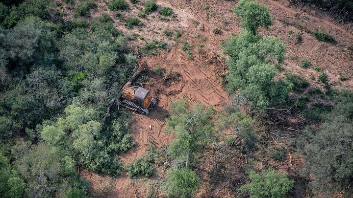 Las provincias rechazan la eliminación del fondo de los bosques nativos