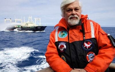 Francia «estudia» la solicitud de nacionalización de activista en prisión Paul Watson