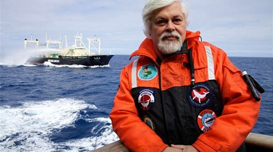 Groenlandia prolonga 28 días la detención del defensor de las ballenas Paul Watson.