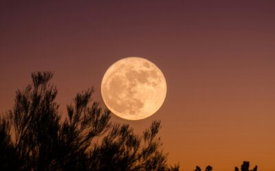 ¿Sabías que la Luna podría estar influenciándote?