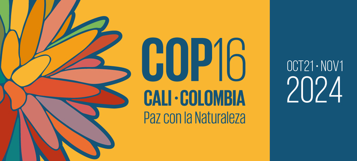 Ya inició la COP16 y Brasil no presentará nuevos planes