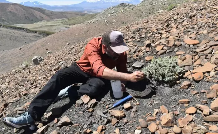 Los dinosaurios convivieron con insectos en Patagonia.