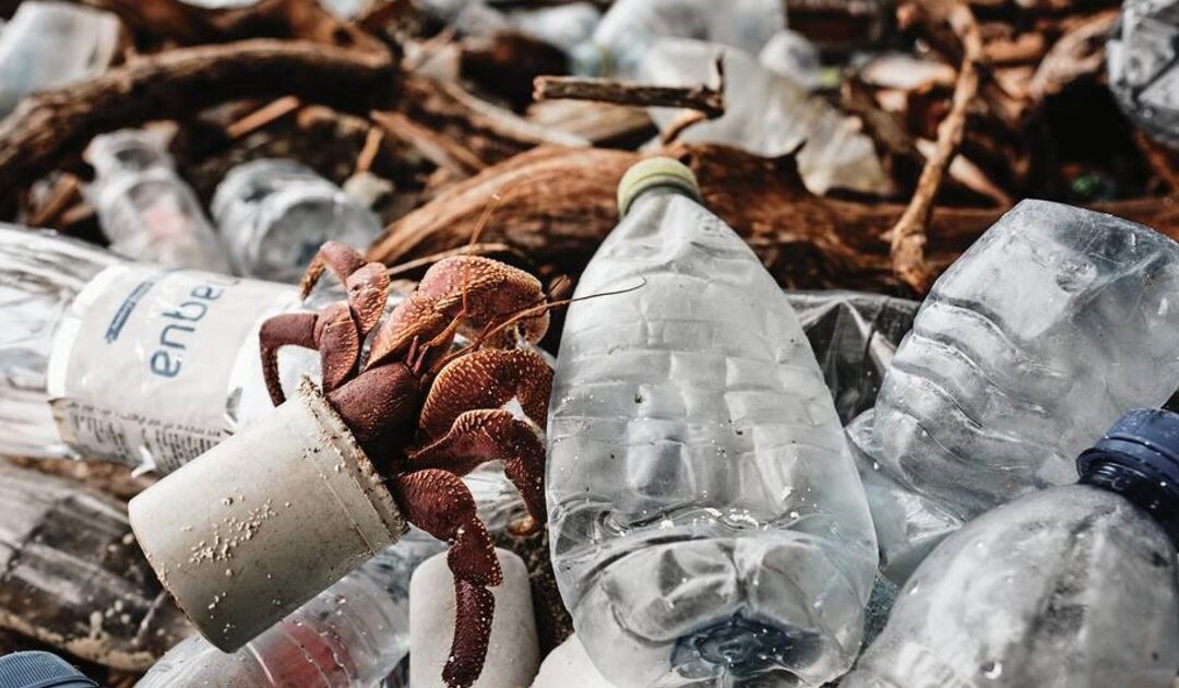 Las empresas que producen el mayor porcentaje de basura plástica.