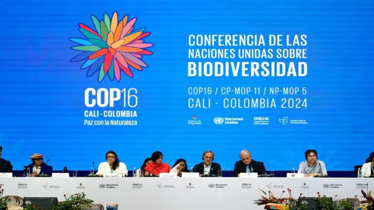 COP16 aprueba acuerdo para resguardar áreas marinas de importancia ecológica.