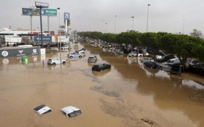 Llaman a generar una cultura de prevención ante los desastres climáticos