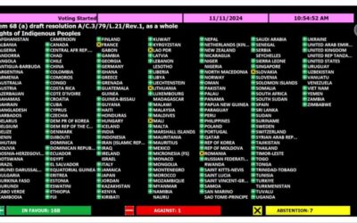 El Gobierno se negó a apoyar los derechos indígenas frente a la ONU