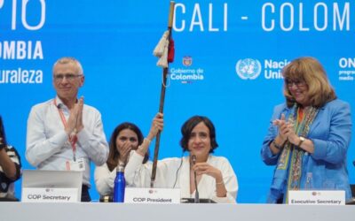 La COP16 continuará en febrero ante la falta de un acuerdo