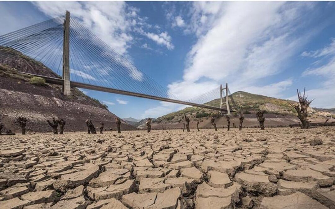 Las millonarias cifras de la desertificación y la sequía en el mundo.