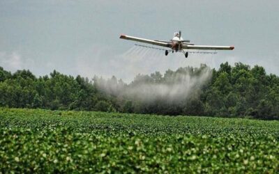 La contaminación por agrotóxicos tuvo un aumento exponencial en Brasil