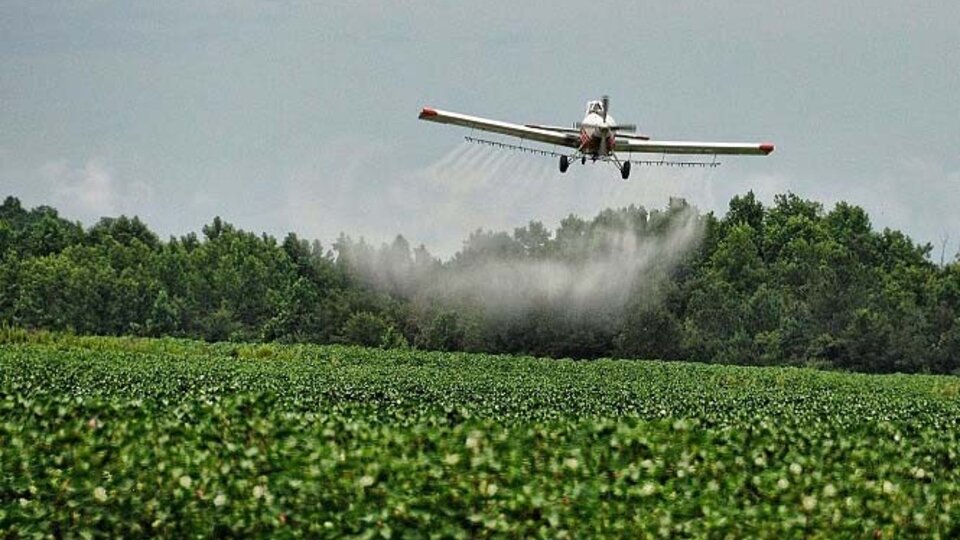 La contaminación por agrotóxicos tuvo un aumento exponencial en Brasil