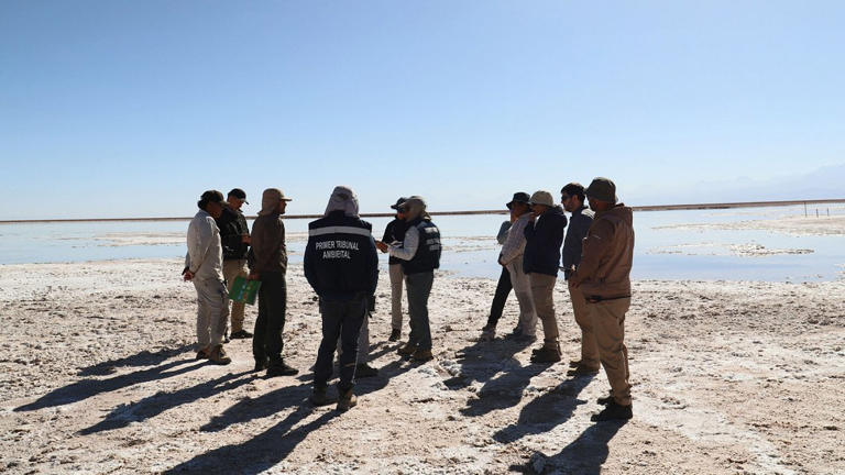 Confirman multa contra minera extranjera por daño ambiental en Chile