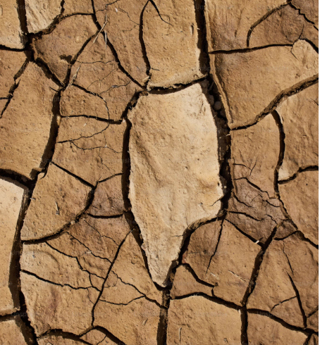 Concluye la Convención contra la Desertificación con resoluciones claras