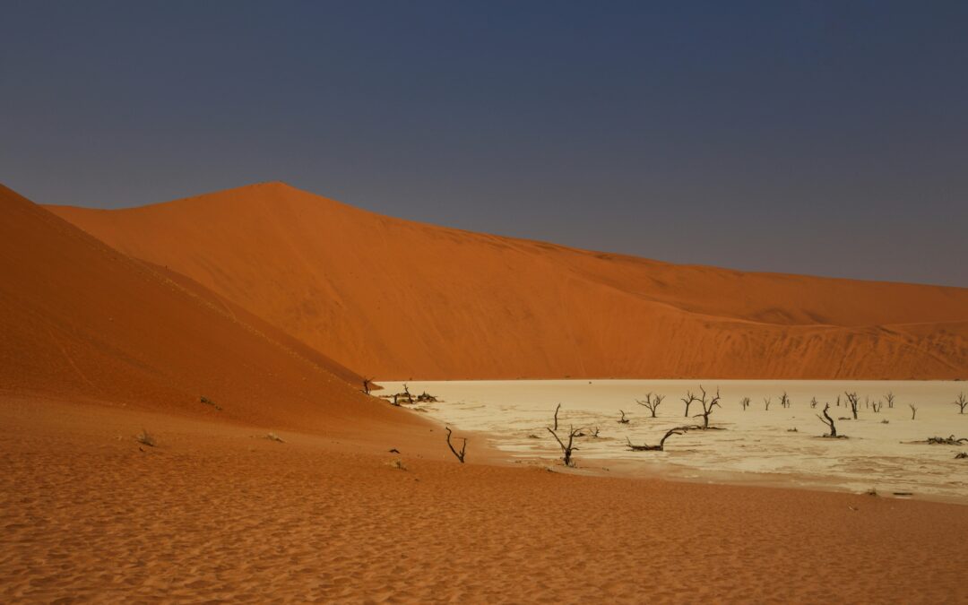 La desertificación amenaza la vida de 5.000 millones de personas de todo el mundo.