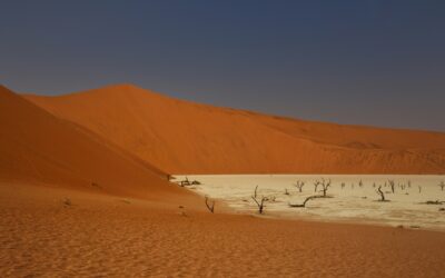 Continúan las alertas en torno a la desertificación en el mundo