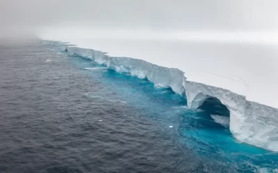 El iceberg más grande del mundo volvió a trasladarse