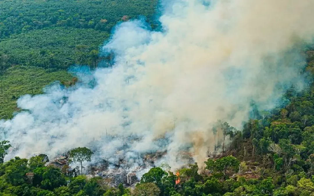 Aumentan las áreas destruidas por incendios en Brasil