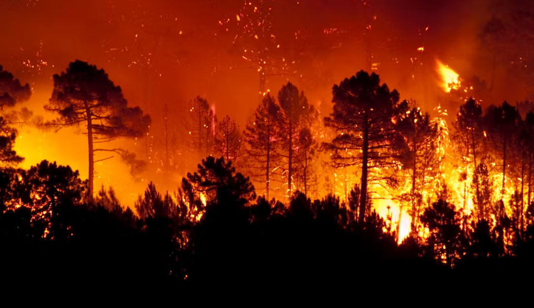 Tras los incendios en California, denuncian contaminación del aire